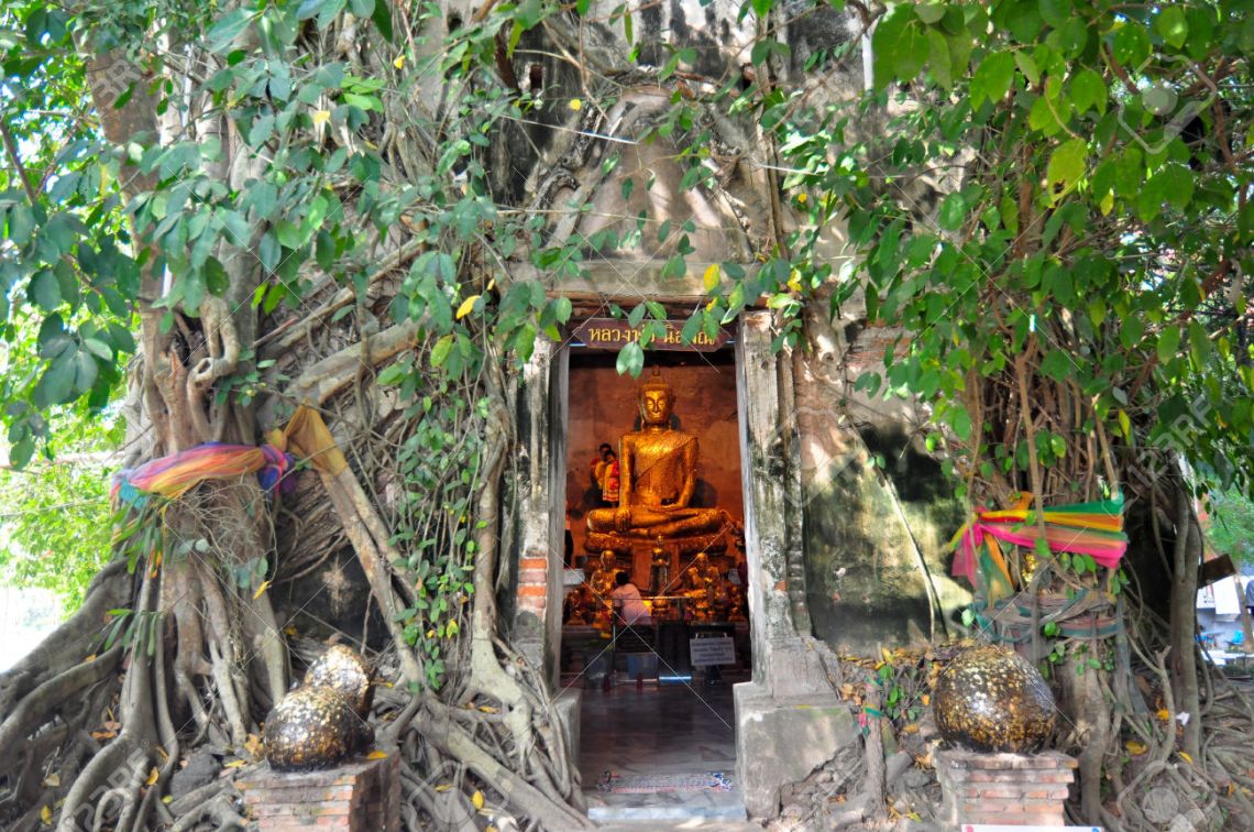 Golden Buddha statue inside the ancient temple of Wat Bang Kung