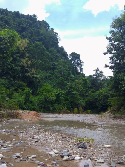 IMG_20170812_122025499