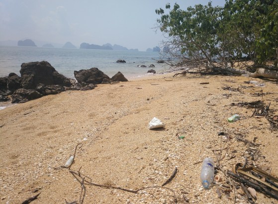 IMG_20180329_104611_126