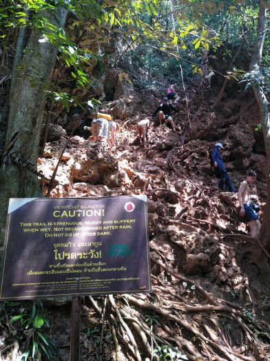 IMG_20180327_142822_659