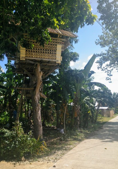 IMG_20180730_090640_644 (1)