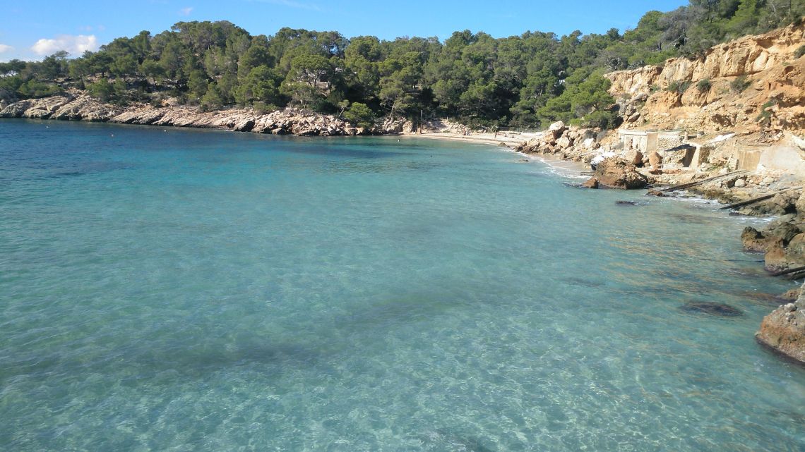 IMG_20181103_133320_828