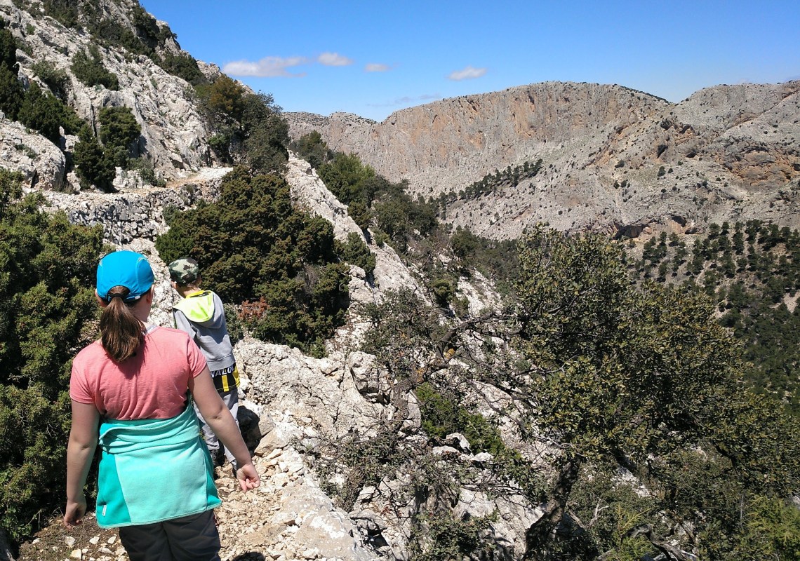 IMG_20180429_125646_032