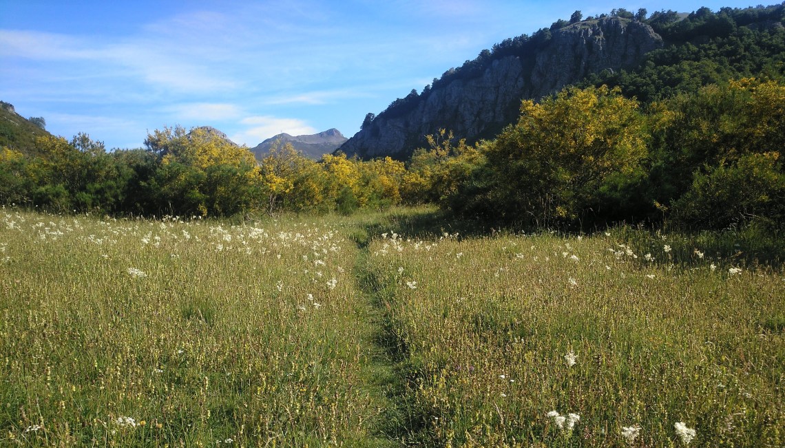 IMG_20190707_094946_730