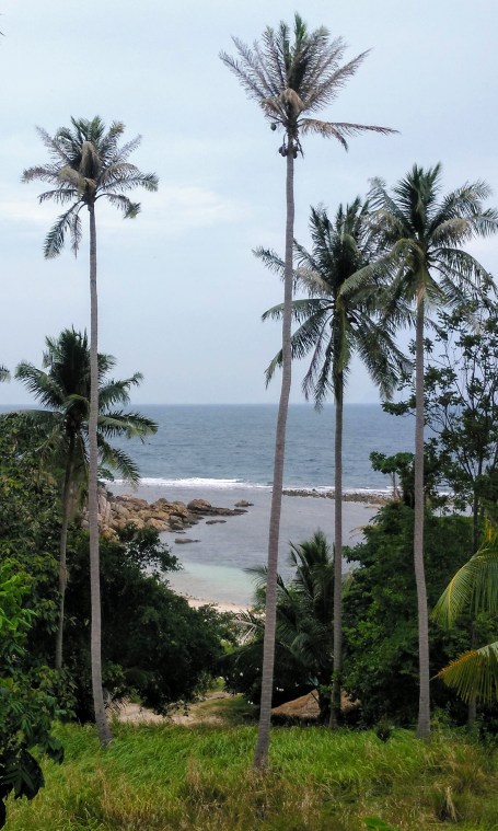 IMG_20190808_112136_409