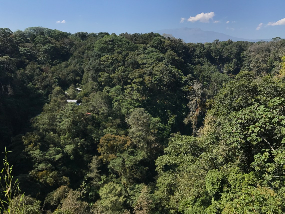 1FCB34BF-3F81-4EA8-9D9B-8310B017C3F1$L0$001_photo