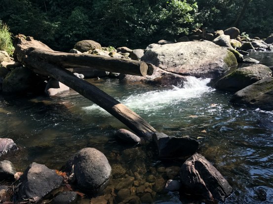 830A9981-1694-4C54-887B-36358987C42C$L0$001_photo