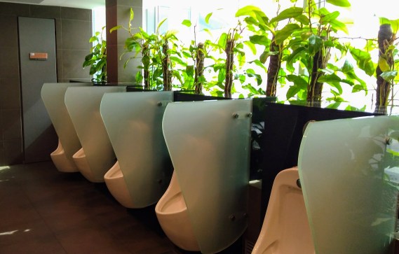 IMG_20170726_161202867